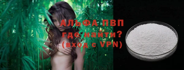 прущий лед Новозыбков