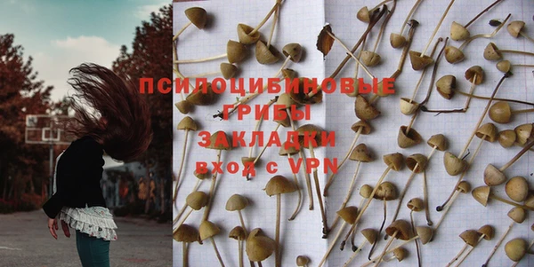спиды Беломорск
