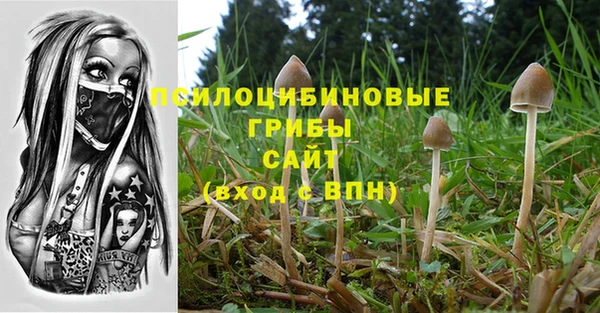 jwh Богородицк